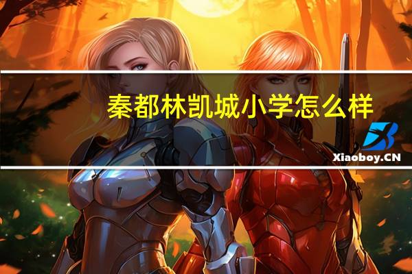 秦都林凯城小学怎么样