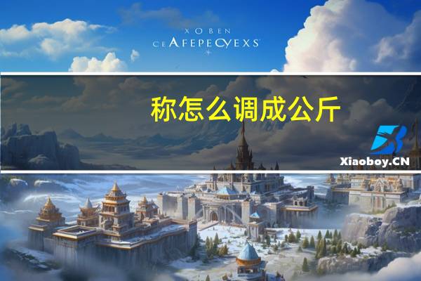 称怎么调成公斤