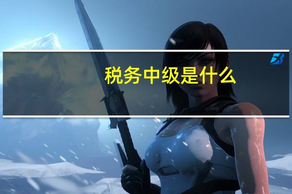 税务中级是什么