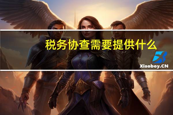 税务协查需要提供什么