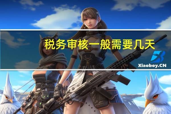 税务审核一般需要几天