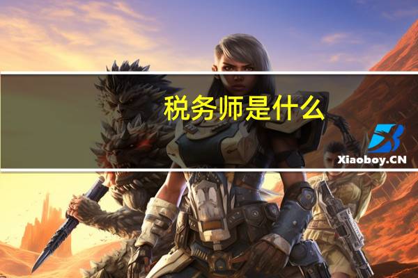 税务师是什么