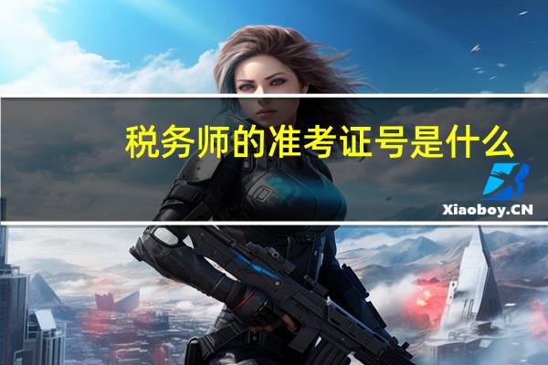 税务师的准考证号是什么