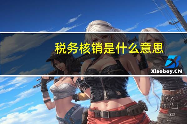 税务核销是什么意思