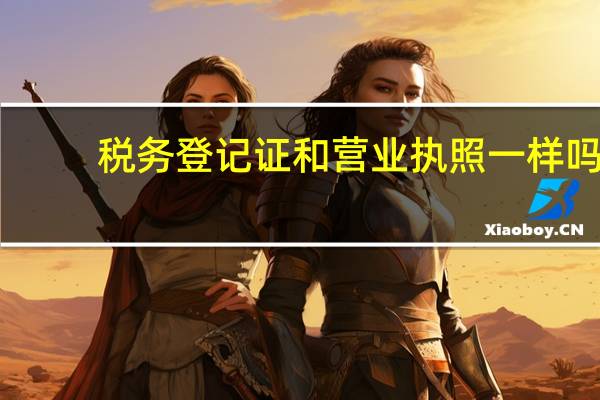 税务登记证和营业执照一样吗