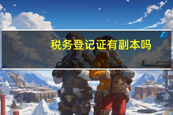 税务登记证有副本吗