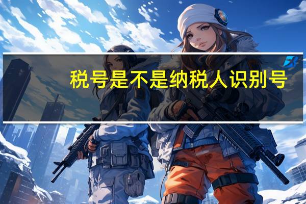 税号是不是纳税人识别号？