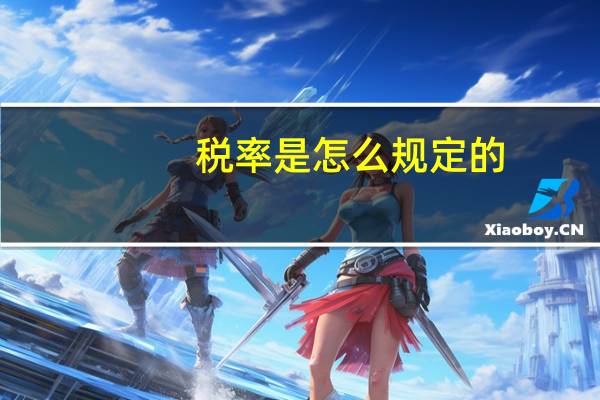 税率是怎么规定的
