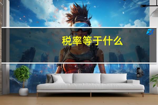 税率等于什么