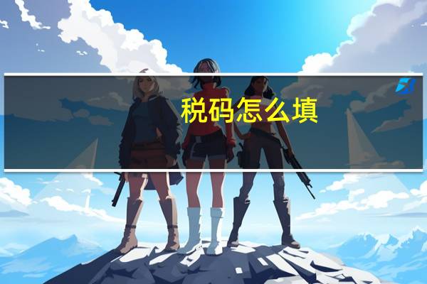 税码怎么填