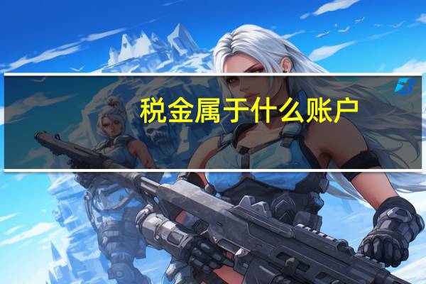 税金属于什么账户