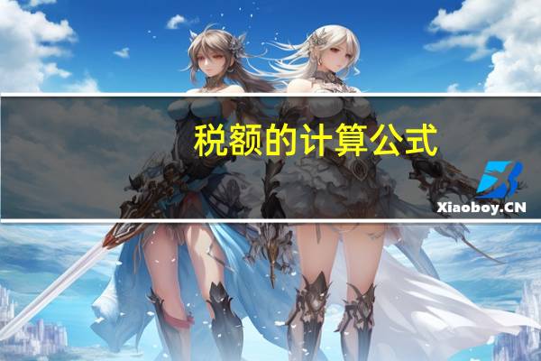 税额的计算公式