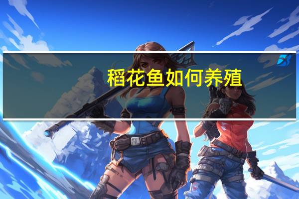 稻花鱼如何养殖
