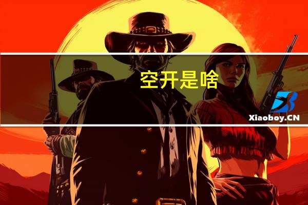 空开是啥