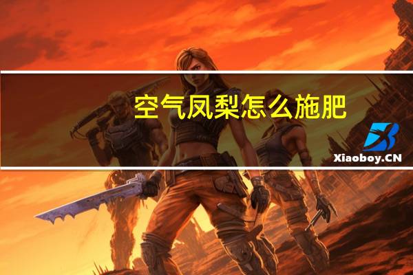 空气凤梨怎么施肥