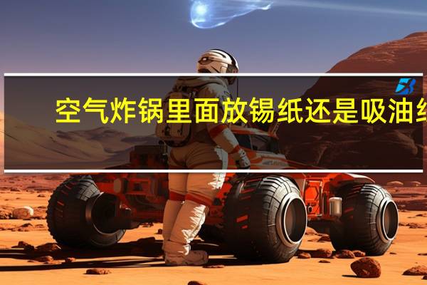空气炸锅里面放锡纸还是吸油纸