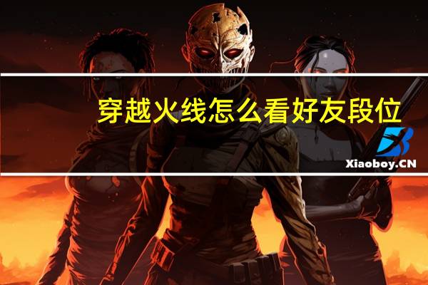 穿越火线怎么看好友段位