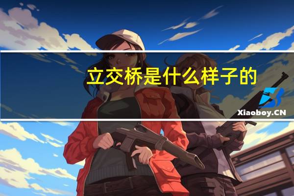 立交桥是什么样子的