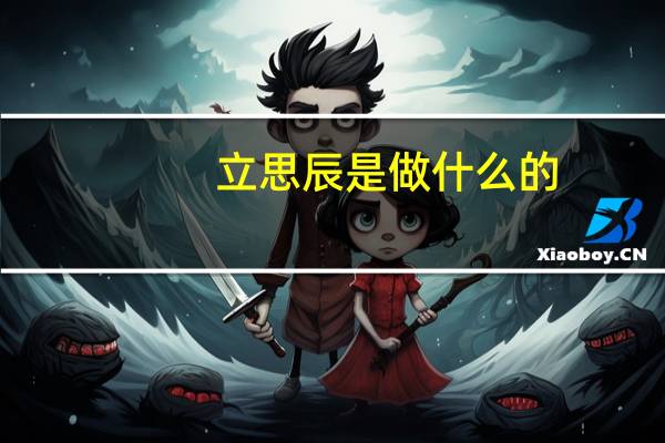 立思辰是做什么的