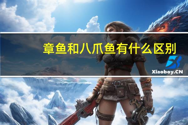 章鱼和八爪鱼有什么区别
