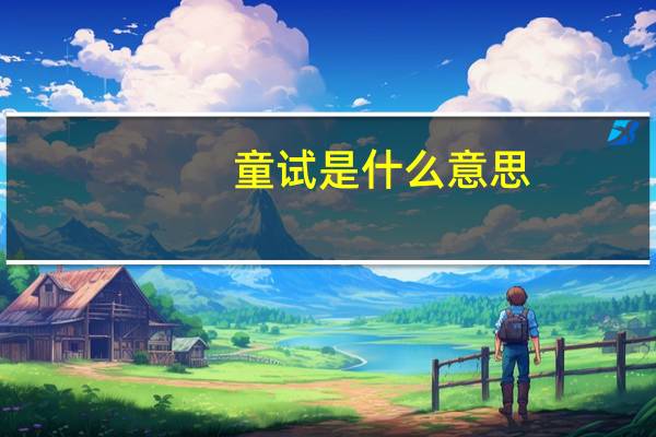 童试是什么意思