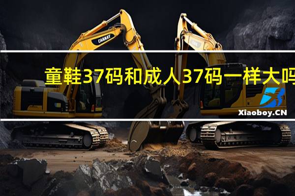 童鞋37码和成人37码一样大吗