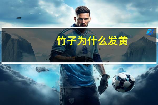 竹子为什么发黄