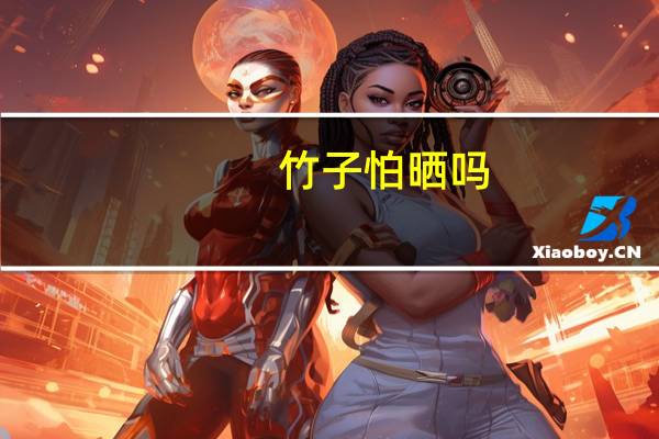 竹子怕晒吗