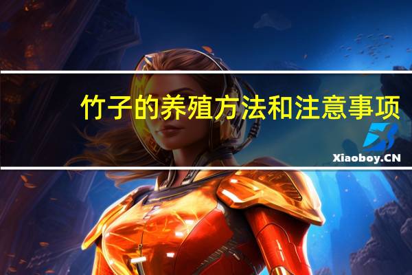 竹子的养殖方法和注意事项