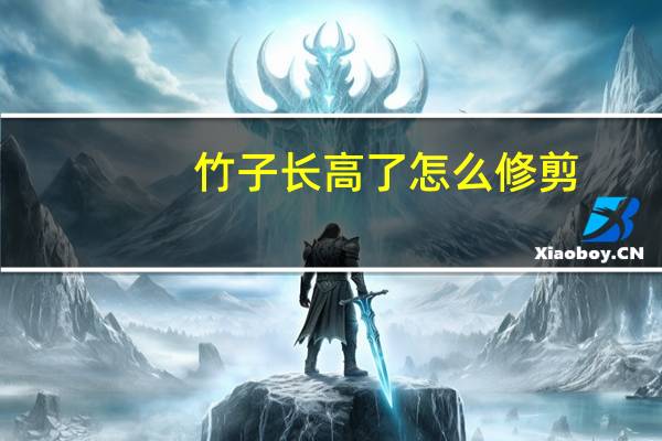 竹子长高了怎么修剪