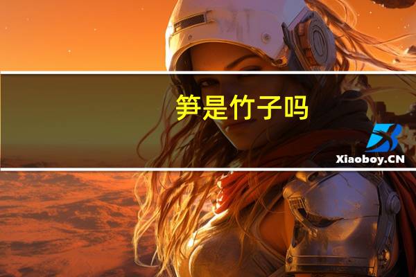 笋是竹子吗
