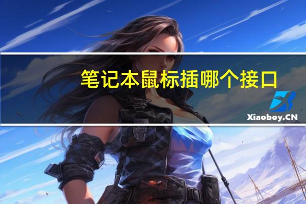 笔记本鼠标插哪个接口