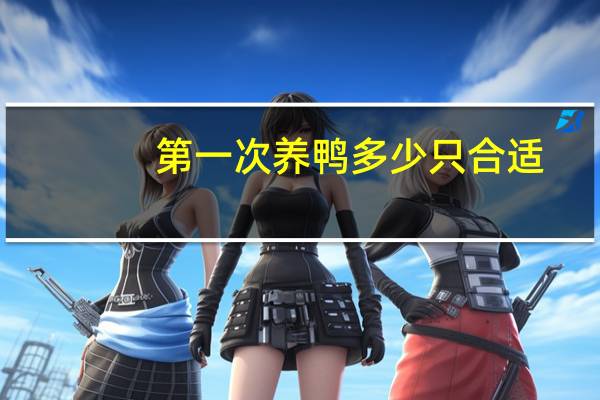 第一次养鸭多少只合适