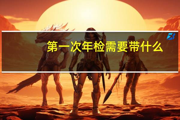 第一次年检需要带什么