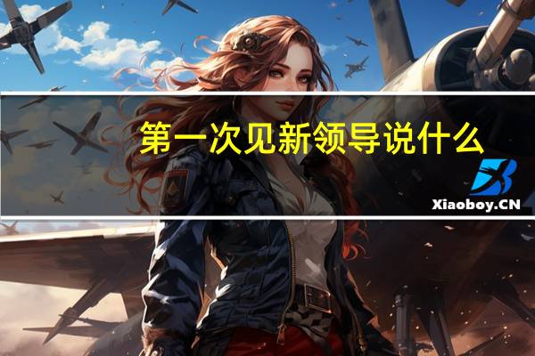 第一次见新领导说什么