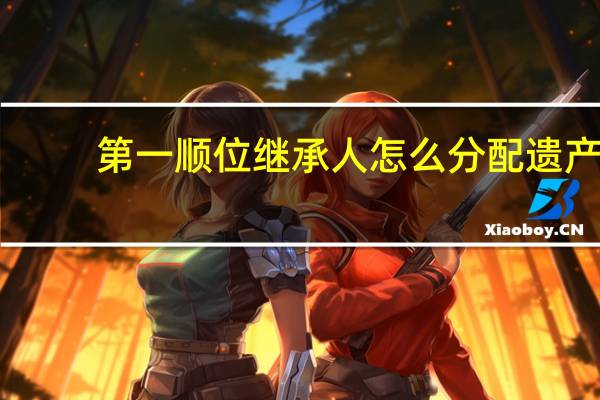 第一顺位继承人怎么分配遗产