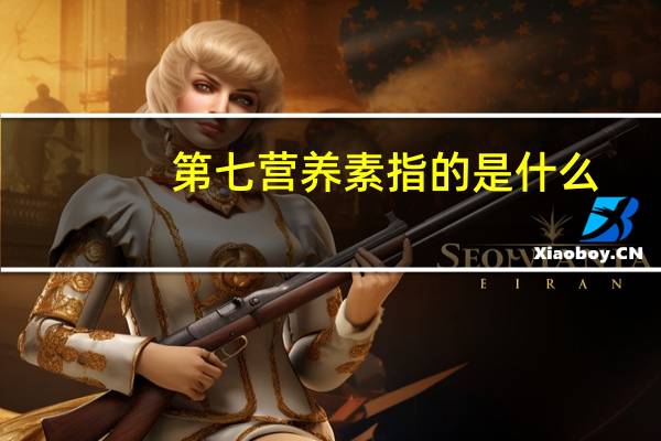 第七营养素指的是什么