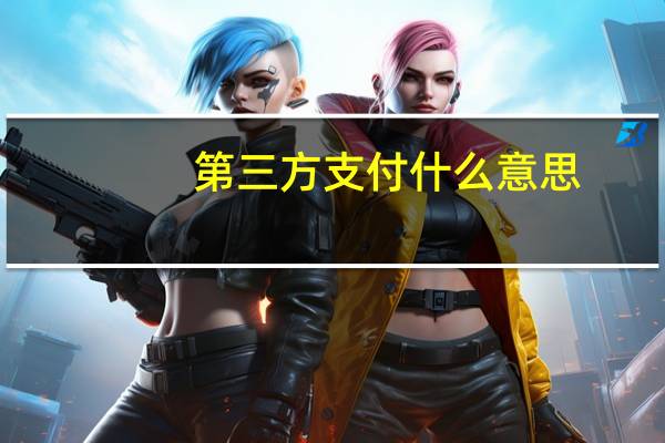 第三方支付什么意思