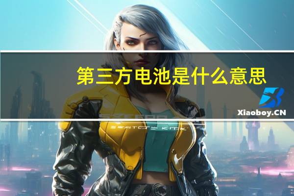 第三方电池是什么意思