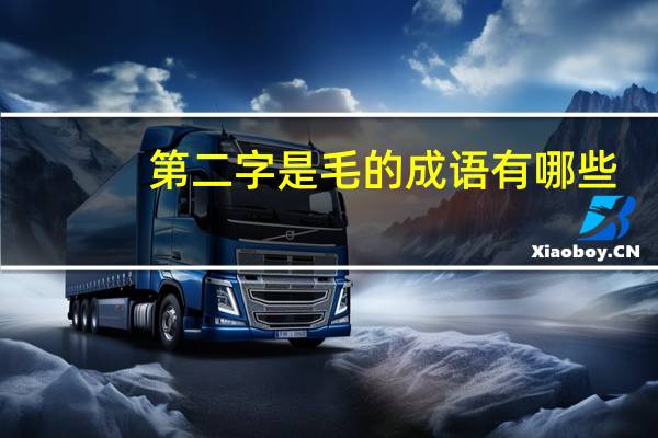 第二字是毛的成语有哪些