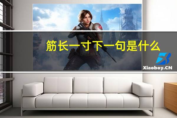 筋长一寸下一句是什么