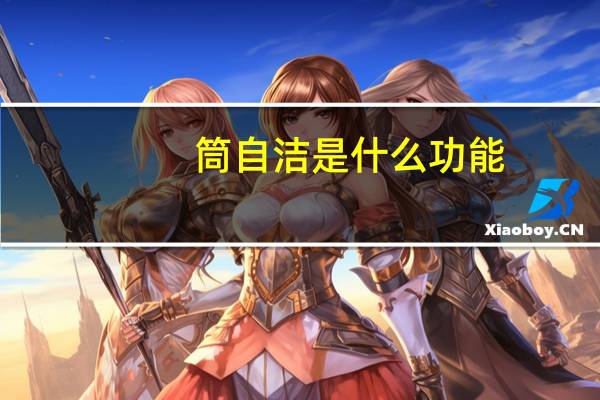 筒自洁是什么功能