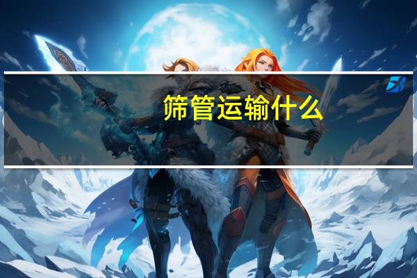 筛管运输什么