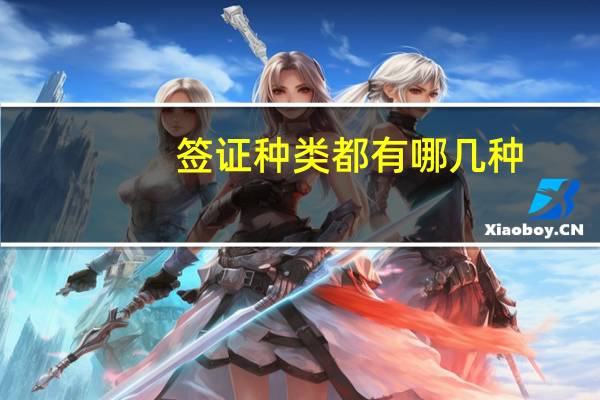 签证种类都有哪几种