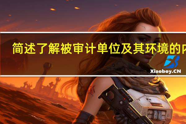 简述了解被审计单位及其环境的内容