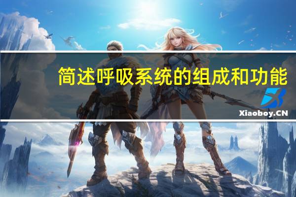简述呼吸系统的组成和功能