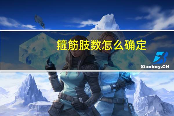 箍筋肢数怎么确定