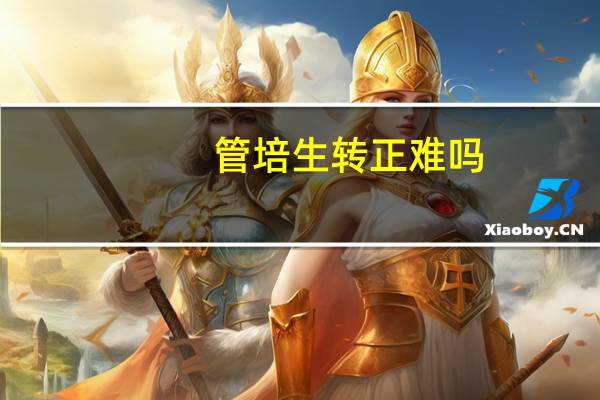 管培生转正难吗