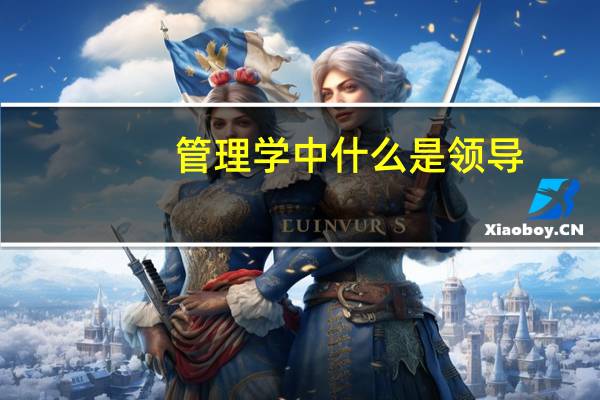 管理学中什么是领导