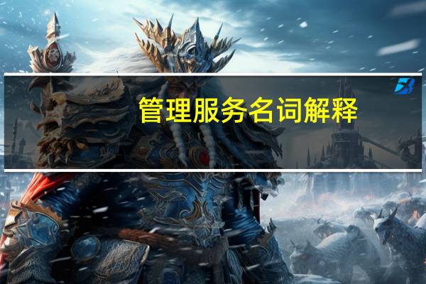 管理服务名词解释